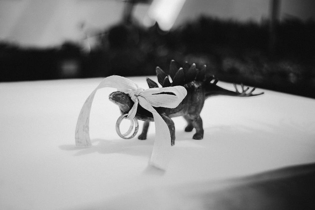Die Schleich-Figur eines Stegosaurus. Umd den Hals trägt er ein Band an dem die Eheringe befestigt sind.