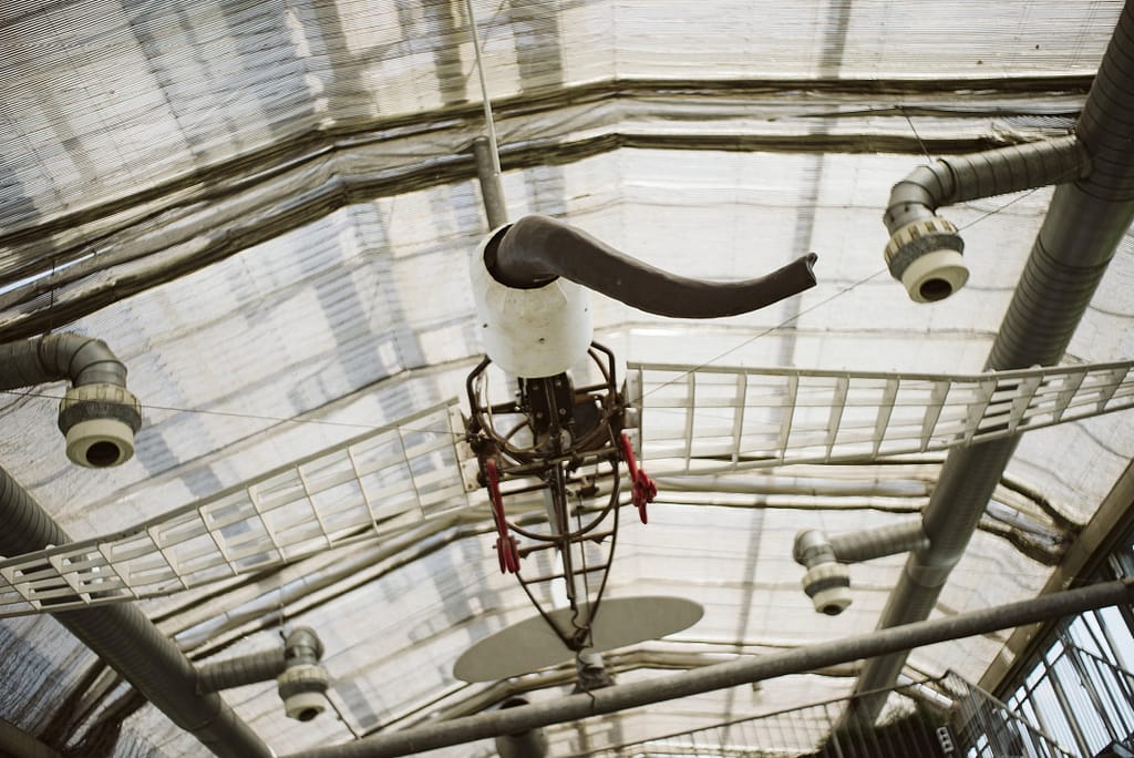Ein dekoratives Element an der Decke im Innenraum des Elefanten. Es ist eine Art Flugzeug mit einem Elefntenrüssel.